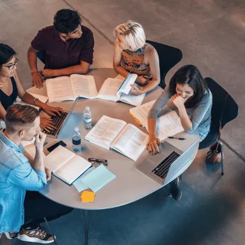 Bachelors Of Law LLB (Hons) Law in practice