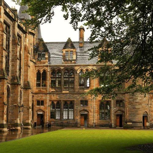 BSc (Hons) Business Management