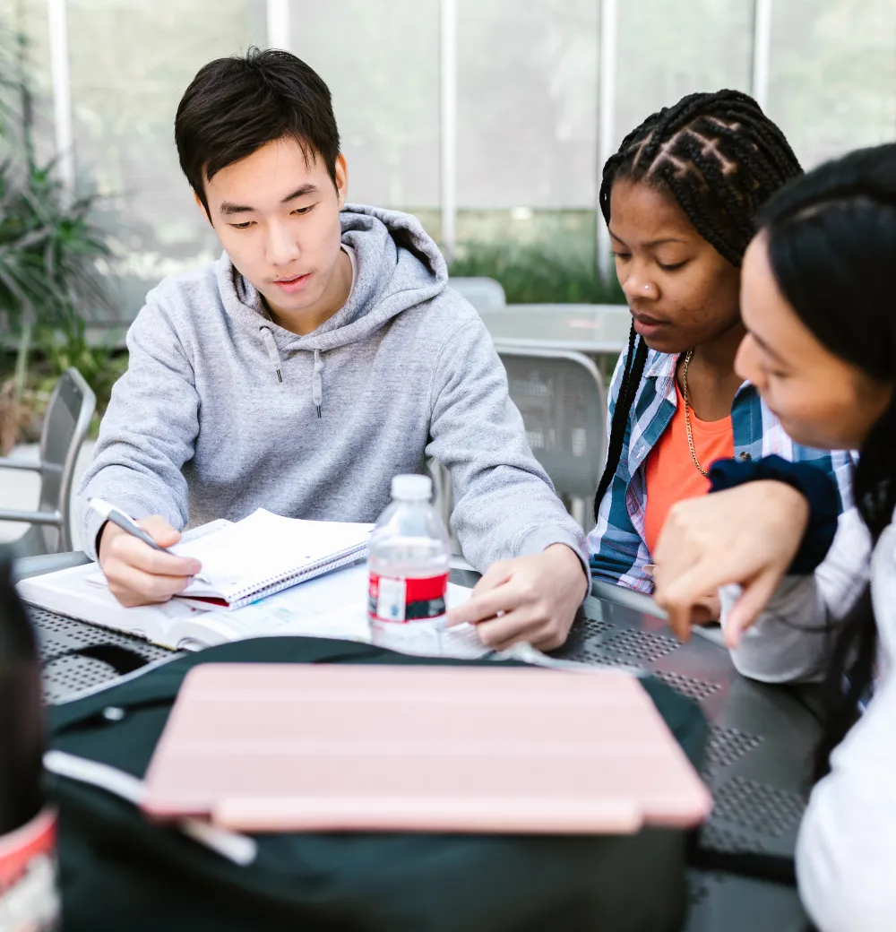 BSc (Hons) Management (Top-Up)